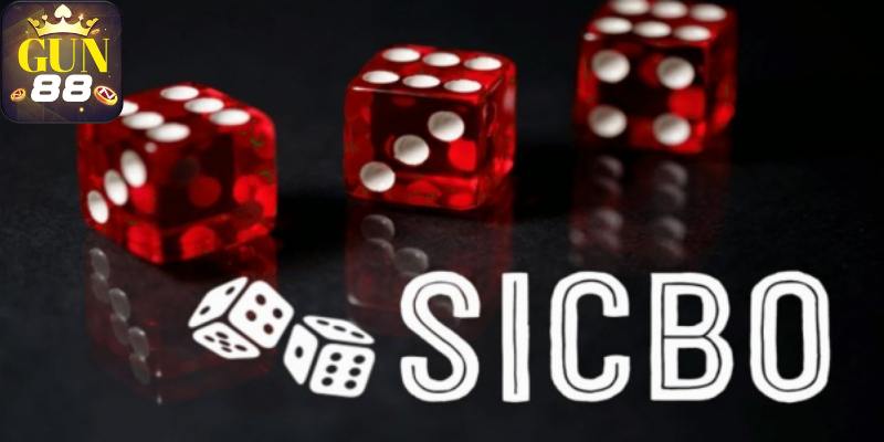 Nội dung quan tâm đặc biệt trong thao tác tải app Sicbo